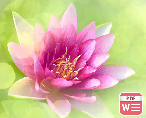 pink lotus flower cover for Reiki Levels 1 @ 2 training Manual